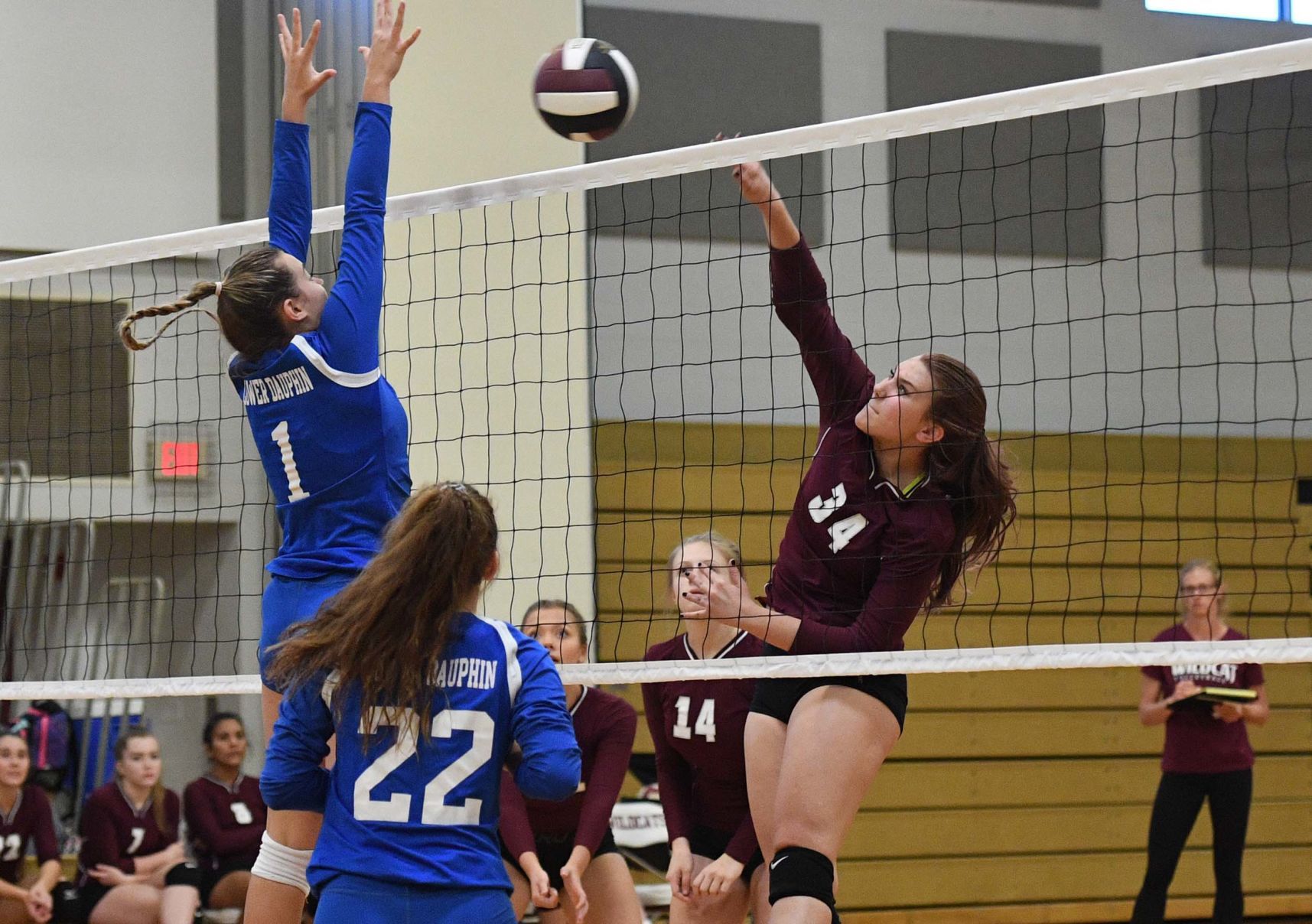 Mechanicsburg Lower Dauphin Volleyball 5